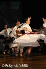 Národní krojový ples