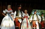 Folklorní festival Slezské dny
