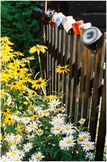 Fotoklub Příbor, Přátelé výtvarné fotografie