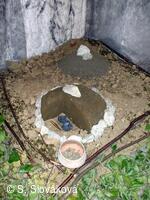 Z DĚNÍ VE MĚSTĚ