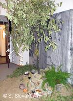 Z DĚNÍ VE MĚSTĚ