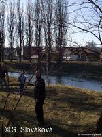 * Z DĚNÍ VE MĚSTĚ